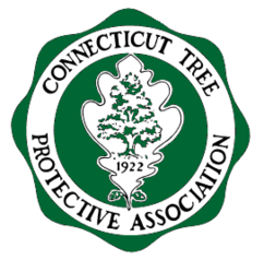 Connecticut Tree Protective Association – C&G Outdoor Services LLC